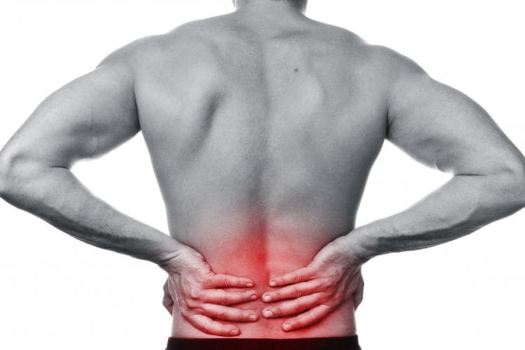 Why Back Pain Hurts
